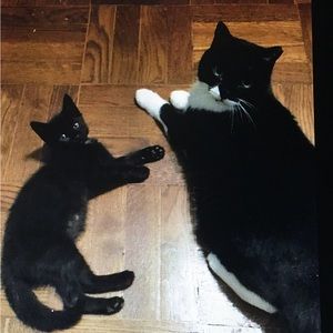 “ Special listing for menageatrice”